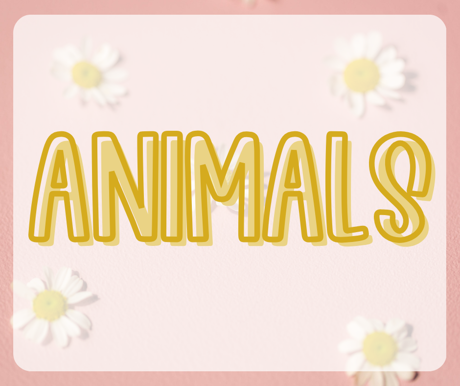 Animals